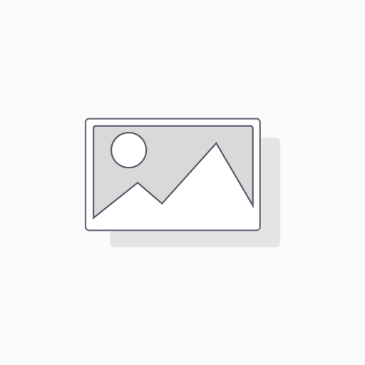 TSD-BAM